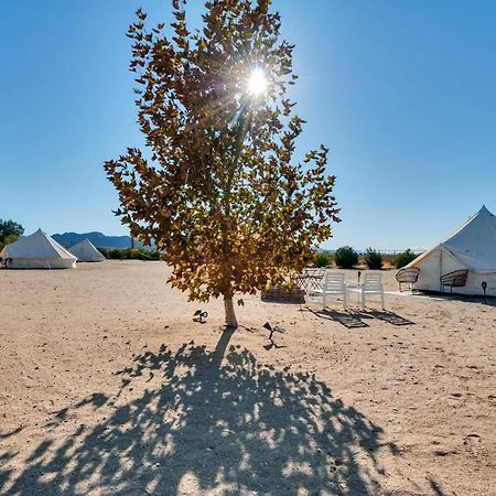 Hotel The Castle House Estate Joshua Tree Exteriér fotografie