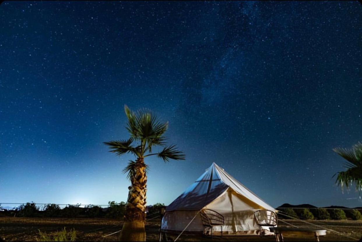 Hotel The Castle House Estate Joshua Tree Exteriér fotografie