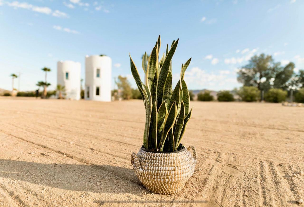 Hotel The Castle House Estate Joshua Tree Exteriér fotografie